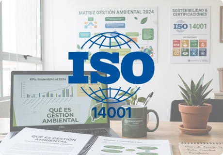 Qué es la ISO 14001 y cómo se implementa en una organización: guía profesional